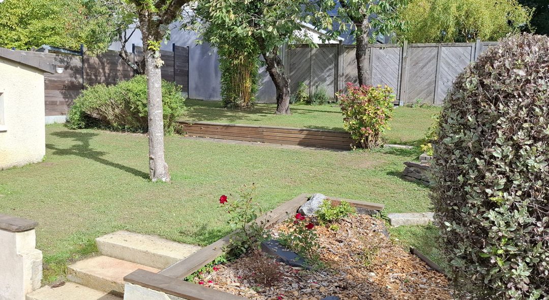 Rénovation de jardin et de gazon à Betton (35)